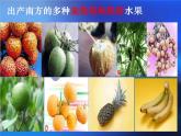 商务星球版八下地理 第7章 活动课 认识南方地区和北方地区的区域差异 课件