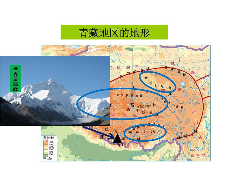 粤教版八年级下册地理 6.4青藏地区 课件第8页