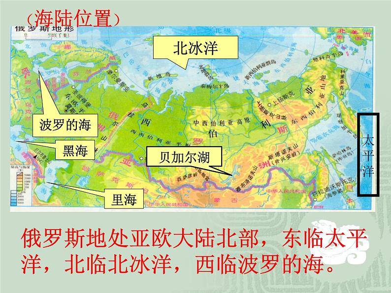 中图版八年级下册地理 7.5俄罗斯 课件第5页