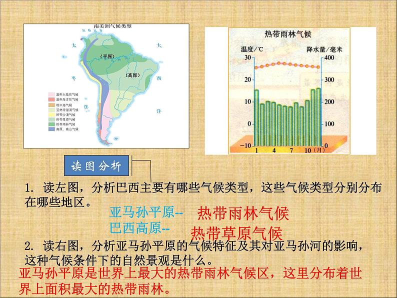 中图版八年级下册地理 7.4巴西 课件07