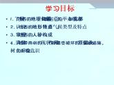 人教版七下地理  9.2巴西 课件