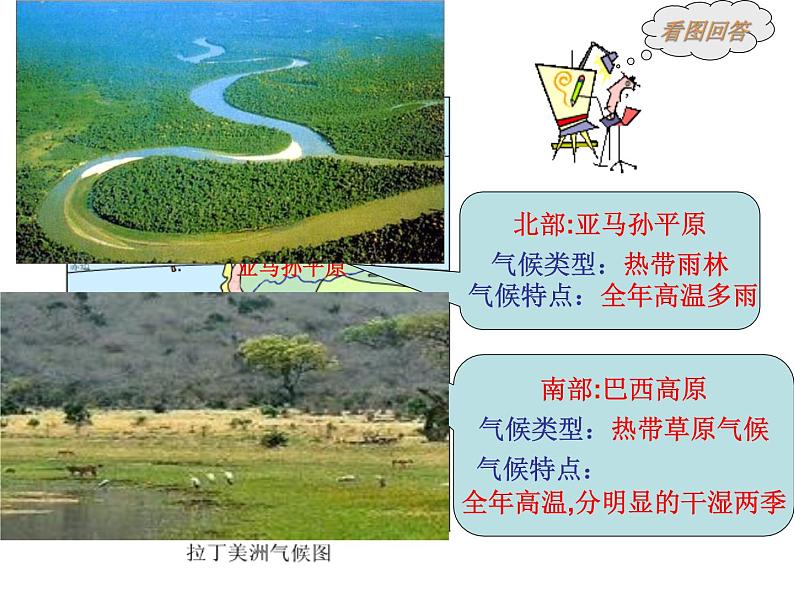 人教版七下地理  9.2巴西 课件第5页