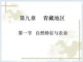 人教版八下地理 9.1自然特征与农业 课件