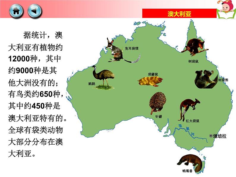 湘教版七下地理 8.7澳大利亚 课件第8页