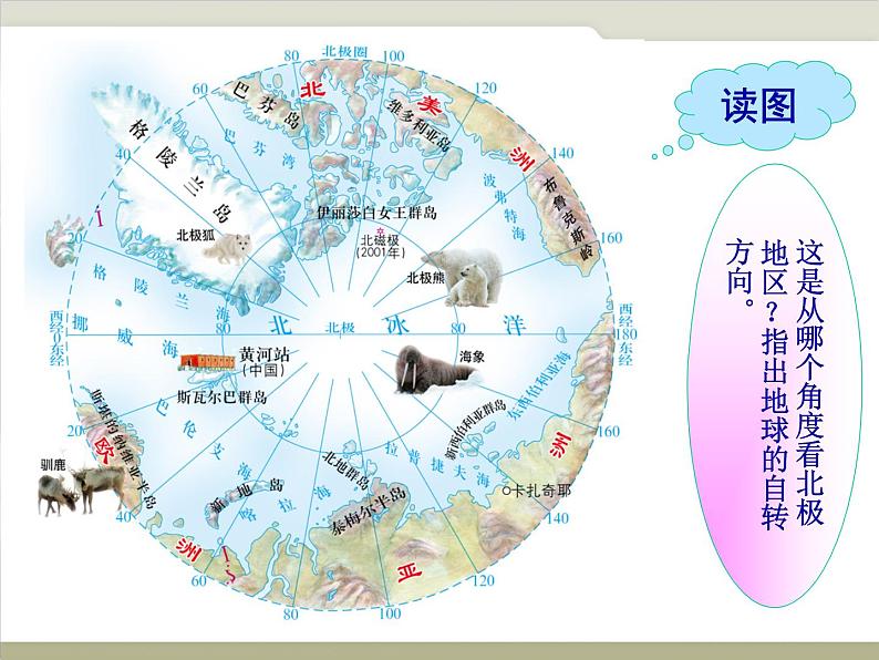 中图版八下地理 6.5 极地地区 课件第3页