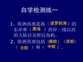 中图版八下地理 6.3  欧洲西部 课件
