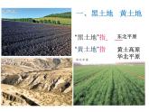 粵教版八下地理 6.1北方地區(qū) 課件