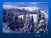 粤教版八下地理 5.1地理区域 课件
