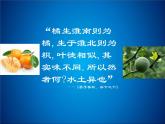 商务星球版八下地理 第7章 活动课 认识南方地区和北方地区的区域差异 课件