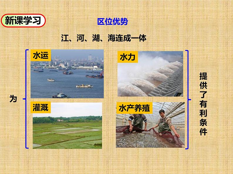 中图版七年级下册地理 7.6长江中下游平原 课件第7页