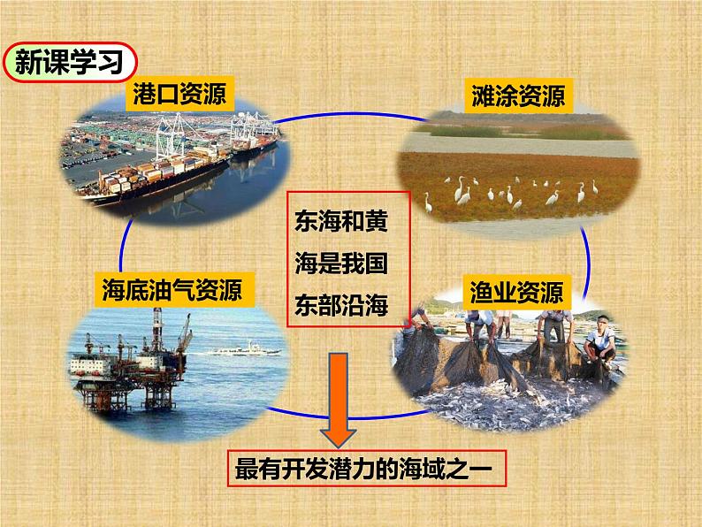中图版七年级下册地理 7.6长江中下游平原 课件第8页