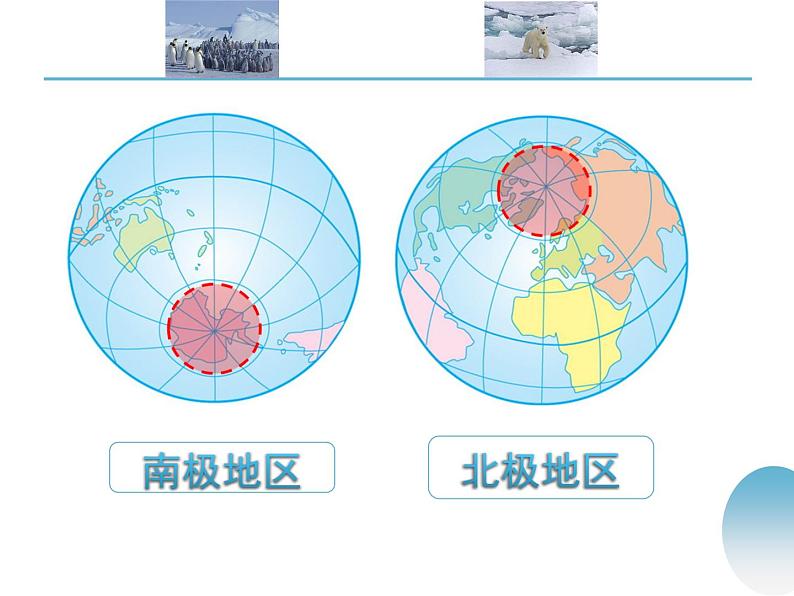 中图版八年级下册地理 6.5极地地区 课件04