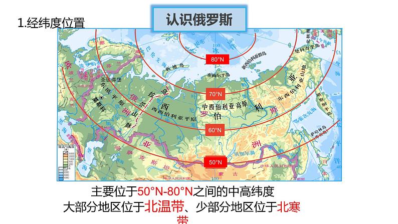 人教版七年级下册地理---俄罗斯（一、二课时）课件PPT第6页