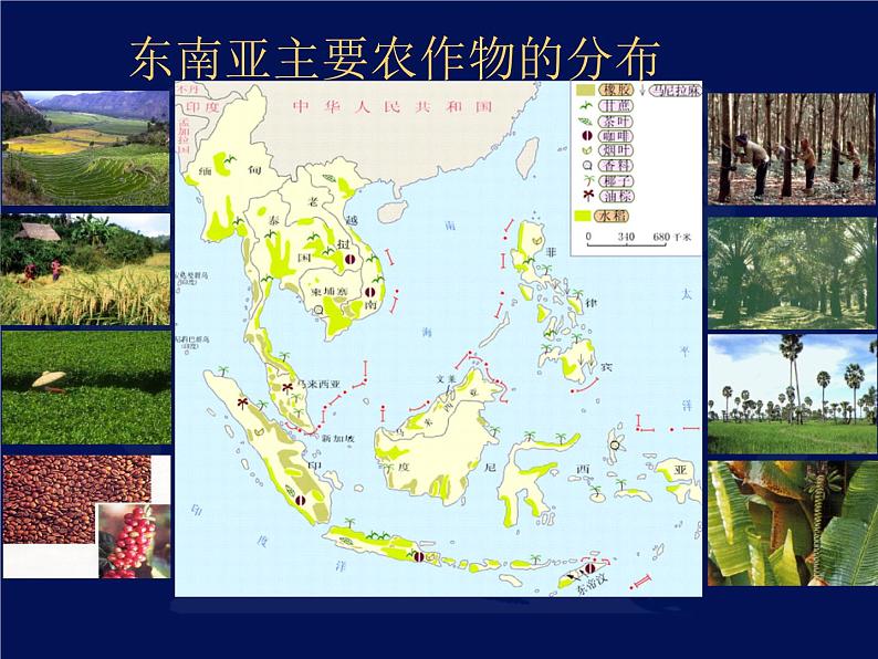 人教版七下地理  7.2东南亚 课件08