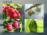 粤教版八下地理 7.6台湾省 课件