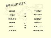 中图版八下地理 6.2 中东  课件