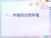 商务星球版八下地理 6.2东北三省 课件