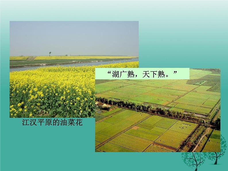 商务星球版八下地理 7.2长江中下游平原 课件06