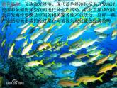 商务星球版八下地理 10.2海洋利用与保护 课件