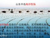 商务星球版八下地理 10.2海洋利用与保护 课件