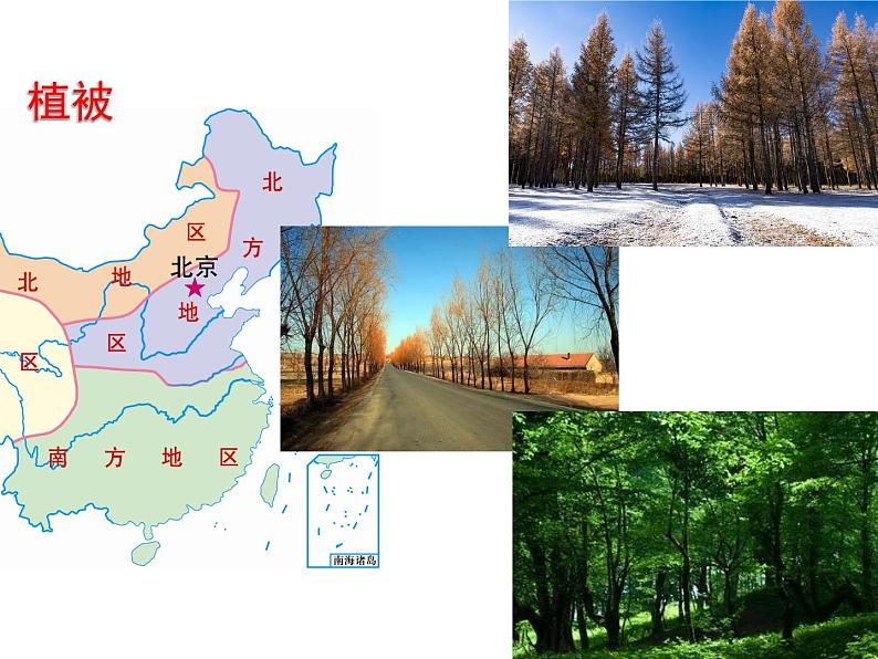 粤教版八年级下册地理 6.1北方地区 课件第8页