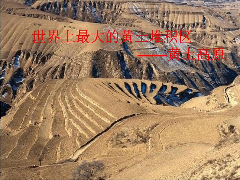 人教版八年级下册第六章 《世界最大的黄土堆积区——黄土高原》课件第1页