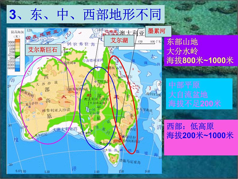人教版七下地理  8.4澳大利亚 课件04
