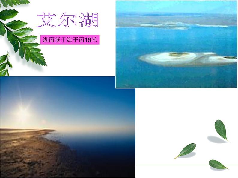 人教版七下地理  8.4澳大利亚 课件07