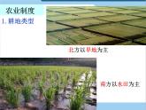 中图版七下地理 6.2四大区域自然环境对生产和生活的影响 课件