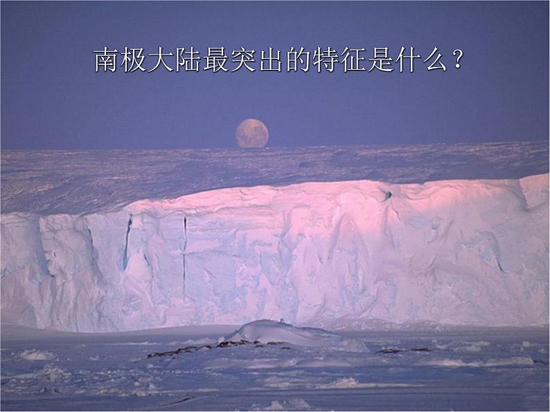 中图版八下地理  6.5 极地地区 课件第6页