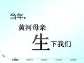 初中地理 沪教课标版 七年级上册 中华民族的母亲河 黄河的治理 黄河 课件