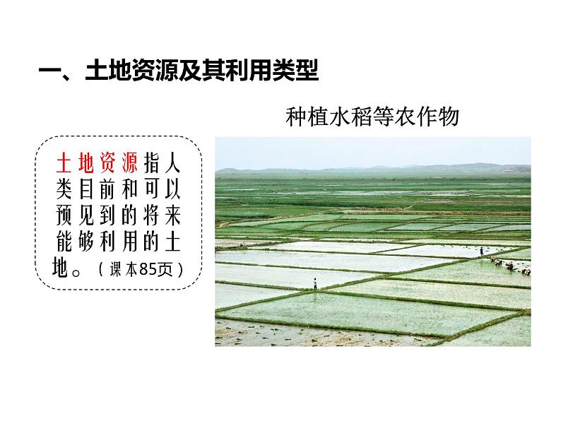 初中地理中图版七年级上册 土地资源部优课件第4页