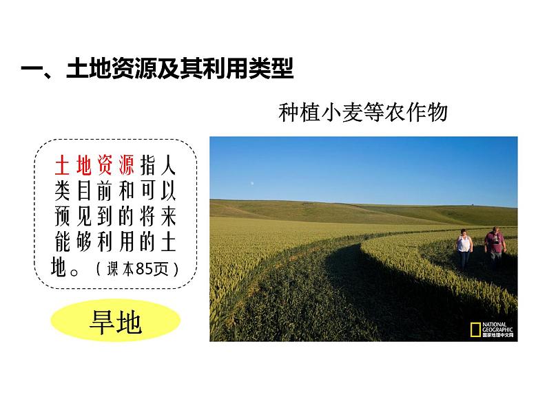 初中地理中图版七年级上册 土地资源部优课件第6页
