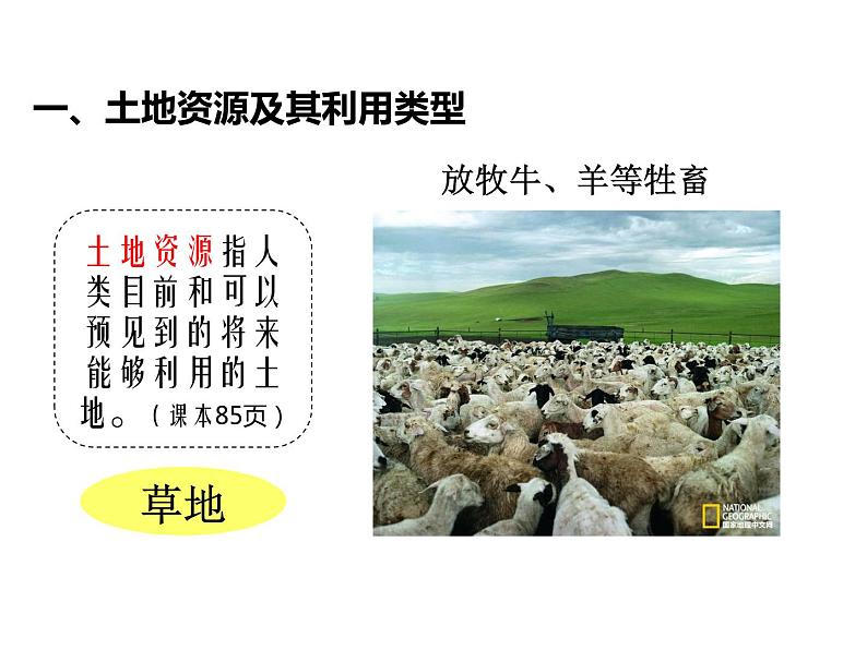 初中地理中图版七年级上册 土地资源部优课件第7页
