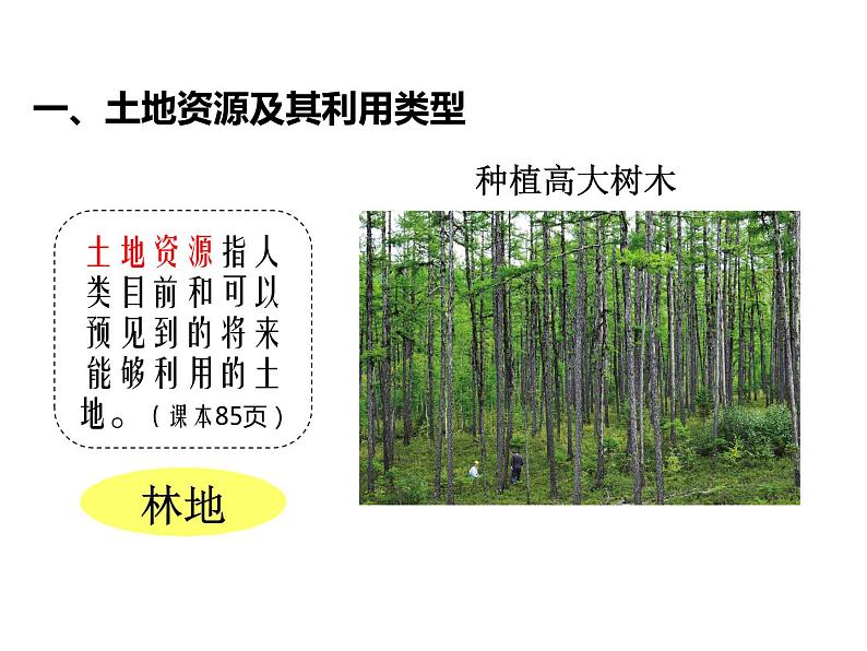 初中地理中图版七年级上册 土地资源部优课件第8页