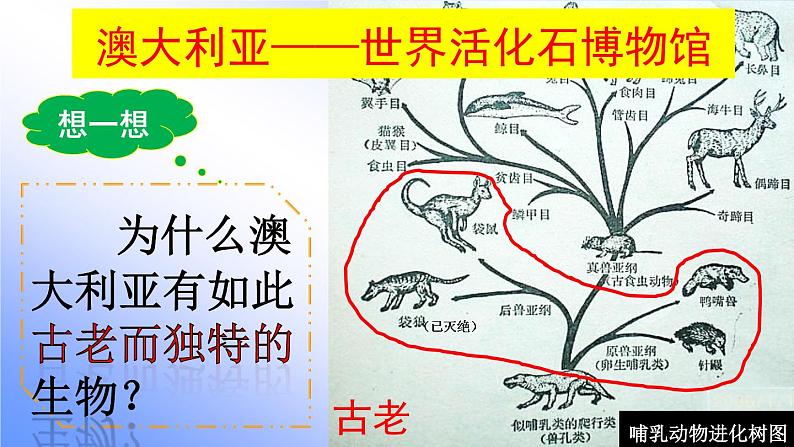 初中地理中图版八年级下册认识国家澳大利亚部优课件第5页