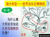 初中地理中图版八年级下册认识国家澳大利亚部优课件