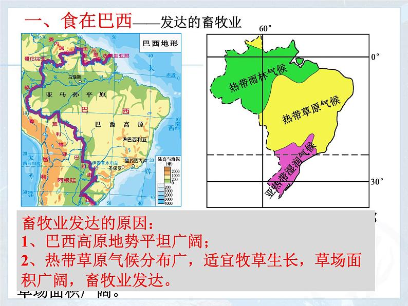 初中地理星球版七年级下册 巴西部优课件第4页