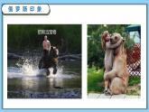8-3俄罗斯（精品课件）-2021-2022学年七年级下学期地理同步备课优质课件（湘教版）