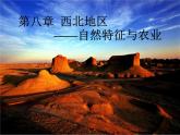 人教版八下地理 8.1自然特征与农业 课件