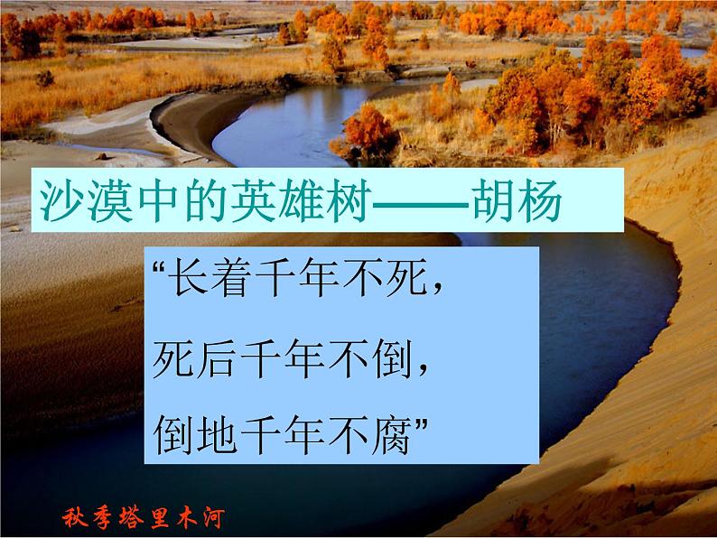 粤教版八下地理 6.3西北地区 课件第4页