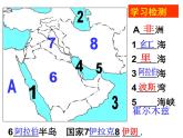 中图版八下地理 6.3  欧洲西部 课件