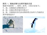 中圖版地理八年級(jí)下冊(cè)6.5 極地地區(qū) 課件