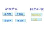 中圖版地理八年級(jí)下冊(cè)6.5 極地地區(qū) 課件