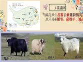 9.1《自然特征与农业》第二课时课件人教版地理八年级下册