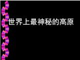 商务星球版八下地理 9.1青藏地区 区域特征 课件
