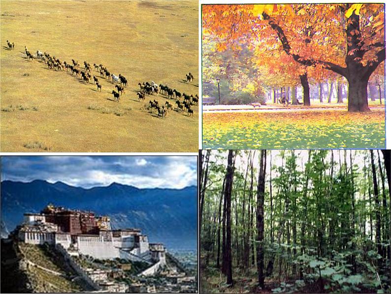 中图版七年级下册地理 6.1我国四大地理区域的划分 课件第3页