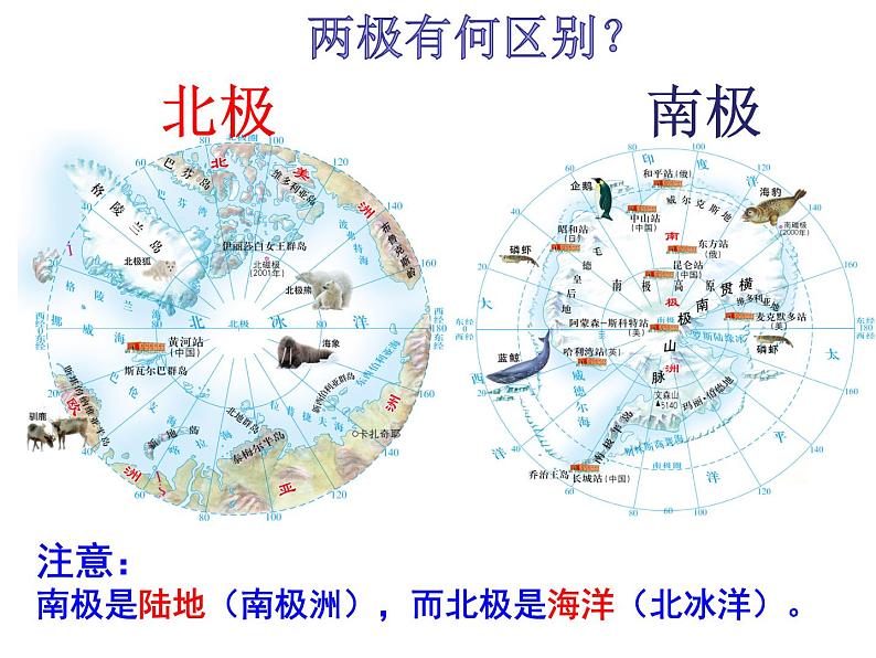 中图版八年级下册地理 6.5极地地区 课件第3页