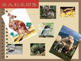 中图版八年级下册地理 7.3澳大利亚 课件