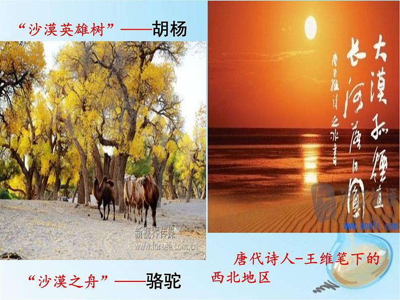 湘教版八下地理 5.3西北地区和青藏地区 西北地区  课件03